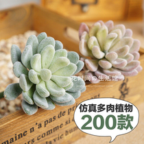 Simulation succulent plant cactus ins fake flower green plant wall interior home decoration small ornaments combination potted