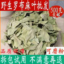 Aponum leaf Chinese herbal medicine shop Xinjiang Apochus tea 500g non-Tongrentang Chinese Herbal Medicine Collection