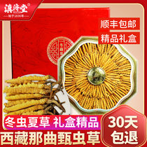 Dianjitang Cordyceps 3g 100g Gift box Tibet Dry Goods Naqu Cordyceps Tea Flagship Store