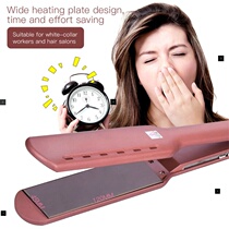 Professional Titanium Hair Straightener Flat Iron Adjust