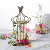 Eurostyle Dessert Table Swing Piece Bird Cage Containing Flowers Rack Iron Art Shop Window Swing Piece Creative Shooting Props Decorator
