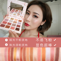 Sequin Eyeshadow Glitter Earthy Desert Rose Mashed Potatoes Matte Net red Eyeshadow palette ins Super fire affordable