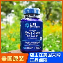 Spot America Life Extension Green Tea Decaffeinated Mega GreenTea EGCG Tea Polyphenol Catechins