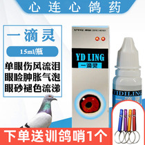 Heart ge yao yi di ling pigeon bird parrot eye drops for monocular cold tears clothing original Dove drug Daquan