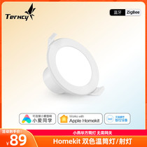 Xiaoyan smart home Bi-square color temperature cylinder lamp spotlight with endless dimming toning and straight-to-homekit voice