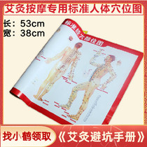 Moxibustion Scraping Acupoint Map Family Use Meridians of Meridian Wall Charts Traditional Chinese Medicine Massage Pushback Buy long life cranes Abar Ai