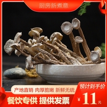 Authentic edible velvet mushroom dried goods special bacteria non-broken non-fresh 500g packaging Yunnan specialty 50g