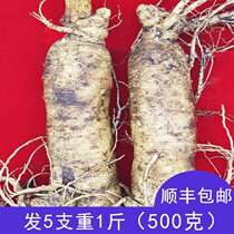 (5 sticks weighing 500 grams) fresh ginseng wild ginseng Changbai Mountain fresh ginseng soaked in wine personal ginseng forest ginseng