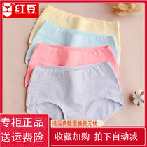4 strips of red bean pure cotton less ladies mid-waist bottom pants shorts 100% All cotton stalls High School college students Triangle underpants