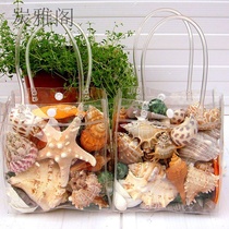 Natural conch shell starfish coral set Aquarium fish tank landscaping decorations Mediterranean crafts ornaments