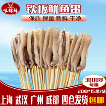 Iron plate squid skewers commercial frozen barbecue squid skewers fresh skewers incense ingredients 3000 skewers