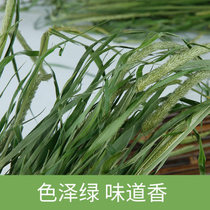 2021 Selected Timothy Grass 1000G Rabbit Dry Grass Dragon Cat Guinea Pig Herd Grass Raider Grass