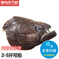 2 catties to take 2-5 kilos of flapping fresh large flounder fish head Greenland deep-sea bigfish head baby covets