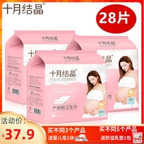 October Crystalline Cotton Soft Maternal Sanitary Napkins Maternal Month Postnatal Sanitary Napkins XL L Ultra Slim Breathable 3 Packs