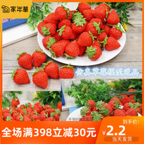 Simulation fake strawberry toy pendant jewelry Simulation fruit and vegetable model food bread props craft decorations