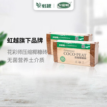 (Hongyue) Fallmaker compressed coconut Bran brick (5 packs) for planting flowers universal sterile nutrient soil medium