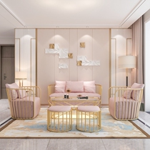 Nordic sofa small apartment living room Clothing store reception room meeting room combination furniture popular light luxury postmodernism