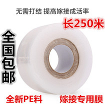 Fruit tree grafting special tape Tree seedling eye Household branches Practical cling film winding knotting protection