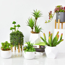 Simulation flower fake grass plant bonsai multi-meat small potted plant swing piece home living room tea table indoor furnishing green planting decoration