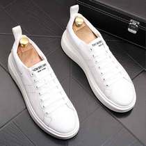 McQueen small white shoes men Korean version of the trend Joker thick bottom increased summer breathable fashion Sports Leisure leather shoes