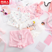 Antarctic little girl four-corner cotton shorts childrens underwear girls