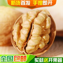 New Xinjiang specialty Aksu fresh thin leather walnut paper skin hand peeling pregnant woman nut Big Walnut 5kg