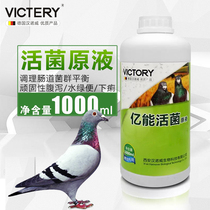 Hannover Dove Medicine 100 million Can Live Bacteria Original stock Geon Intestinal Disease Digestive poor water defecation 1000 ml