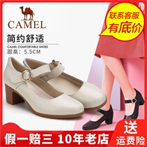 Camel Camel Spring sweet thick soled Mary Jane shoes shallow mouth students high heel female low shoes A91269612