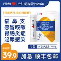 Pregnancy breastfeeding pet dog cold medicine young cat wound anti-inflammatory fast amoxicillin clavulanate potassium promise