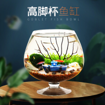 High-footed cup eco-fish tank building package small desktop eco-bottle fish micro-landscape free of water family pets