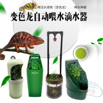Chameleon feeding box special automatic water circulating dripper amphibious drinking live water crawler feeder humidification drinking water dispenser