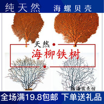 Red Sea Lyu Sea Iron Tree Seabed Coral Trees Black Iron Tree Fish Tank Fine Coral Tree Decorations Micro Landscape Sea Trees
