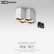 Double-headed long tube spotlight Nordic led Downlight anti-glare simple modern ceiling aisle corridor ceiling light