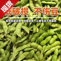 Fruit picking 7 cutting fruit drop machinery agricultural harvesting machine Green bean green bean automatic edamame bean picking machine