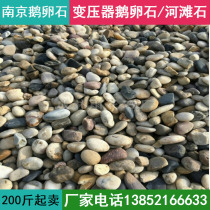 Nanjing natural river beach stone pebbles rain stone filter material washed stone Gravel Courtyard garden paving landscaping stone