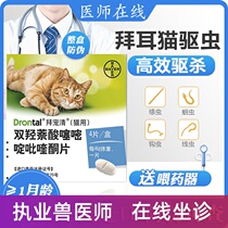 Cat Bayers body anthelmintic drug cat cat tapeworm roundworm Toxoplasma gondii Cat 4 insects