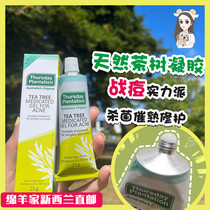Spot Australia Thursday Farmstead Tea Tree Germicide Gel Acne Gel 25g Anti Pimple Pimple Cream New Zealand