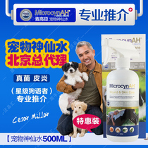 American Microcyn McGaochen pet fairy water dog cat dog disinfection sterilization fungus dermatitis wound 500ml
