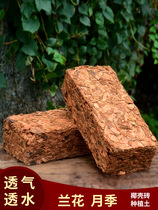 Crude coconut Bran salt-free brick Dendrobium orchid phalaenopsis rose special organic nutrient soil desalination coconut brick coconut shell soil