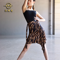 Adult professional Latin skirt short dress 2022 new national standard dance dance pants irregular