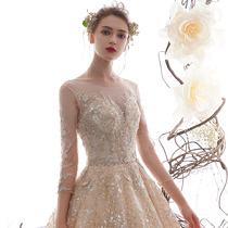 Summer flower2021 new wedding dress bride long-sleeved starry sky tail cover arm thin heavy industry simple champagne color