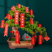New house into the house layout of the relocation of the new home small red lantern bonsai decoration small pendant Fu character fortune tree hanging ornaments