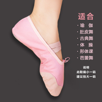 Belly dance shoes adult soft bottom dance shoes belly dance exercise shoes ballet classical dance cat claw shoes