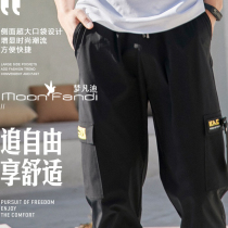 Dream Fandy New Chinlon 100 Lap Natural Waist Asymmetrical Regular Pocket Ice Sensation Speed Dry Tooling Single Pants Long Pants
