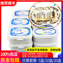 Grape Nectar Bait Fishing Bait Climbing hamster Corn Worm Live Snacks Large Wax borer Bait Bird worm Food