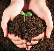 Nutrition soil planting flowers soil planting vegetables soil Coconut brick fleshy soil Universal vegetable potted green plant flower cultivation soil flower mud