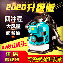 Four Stroke Petrol Hairdryer Greenhouse Blow Snow Machine Blow Up Leaf Road Brash Ash Machine Portable Wind Fire Extinguisher