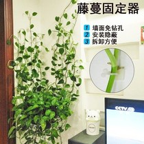 Green Luo long vine hanging shelf indoor self-adhesive decorative wall Flower Vine Green basket hanging wall creative flower pot traction frame