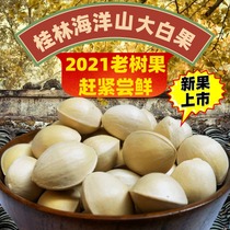 Fresh ginkgo Super Shell ginkgo fruit 5kg Guilin Ocean Village old tree white fruit kernel full
