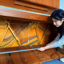 YASUSI piano moisture-proof tube universal piano dehumidifier piano special electric water-driven tube heating